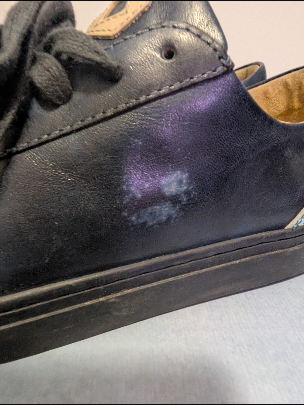 Six Hundred Four Sneakers - Picture 5 of 11